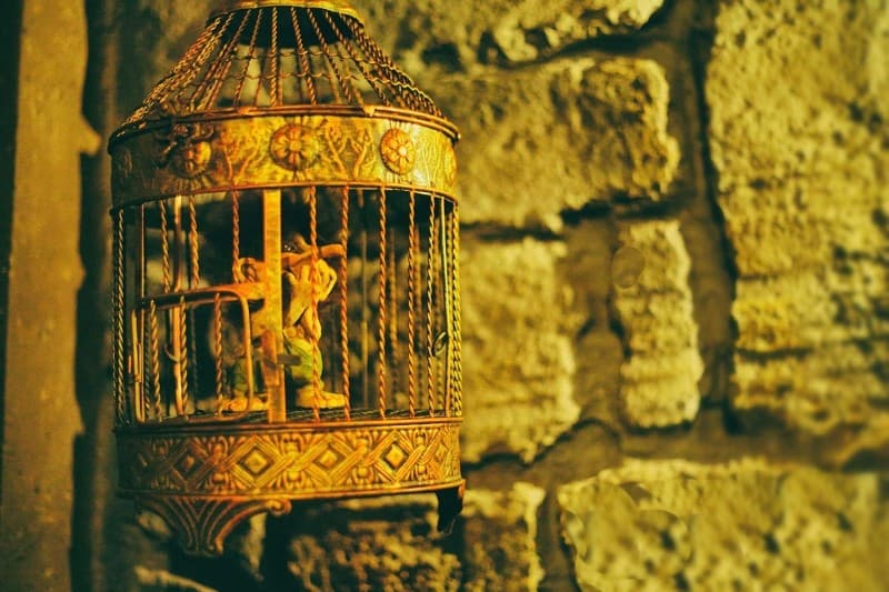 Escape room Čudežna dežela ali DAVINCI & SHERLOCK / 4 osebe